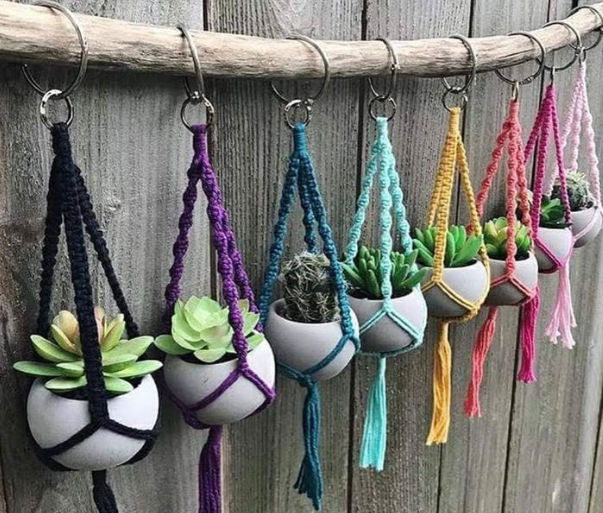 Session d'hiver 2026