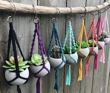 Session d'hiver 2026